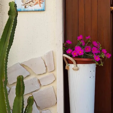 Sogno Mediterraneo *
